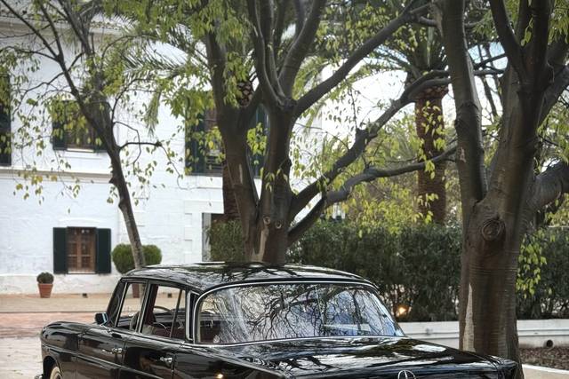 Mercedes Colas