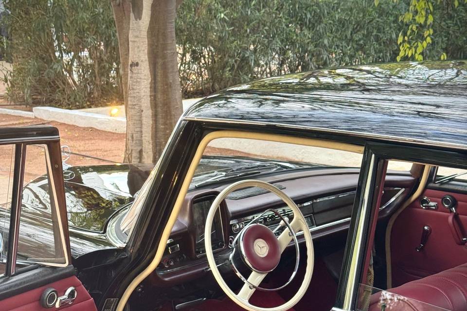 Mercedes Colas