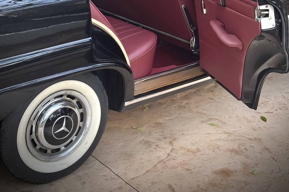 Mercedes Colas