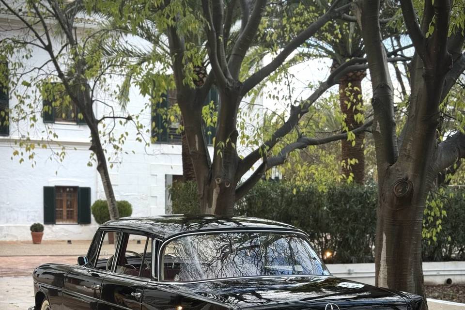 Mercedes Colas