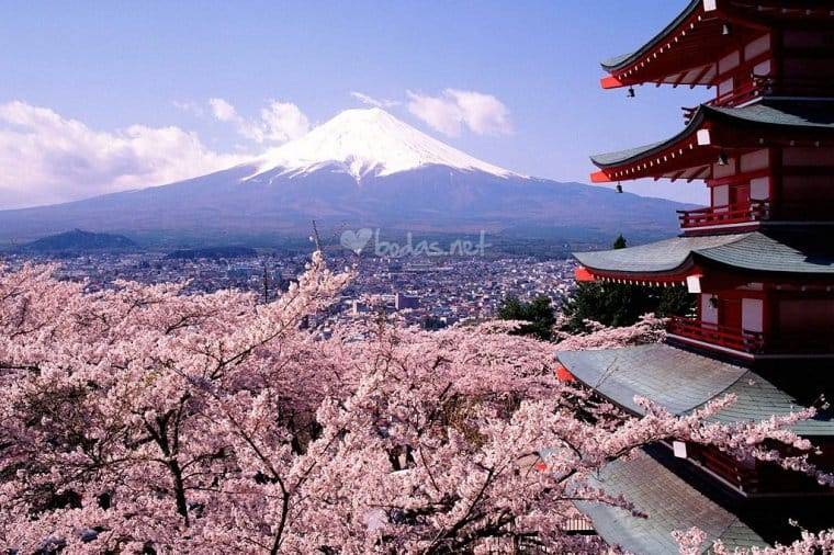 Almendros en Japón