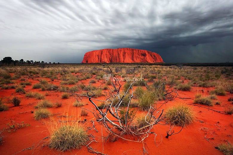 Desierto rojo en Australia