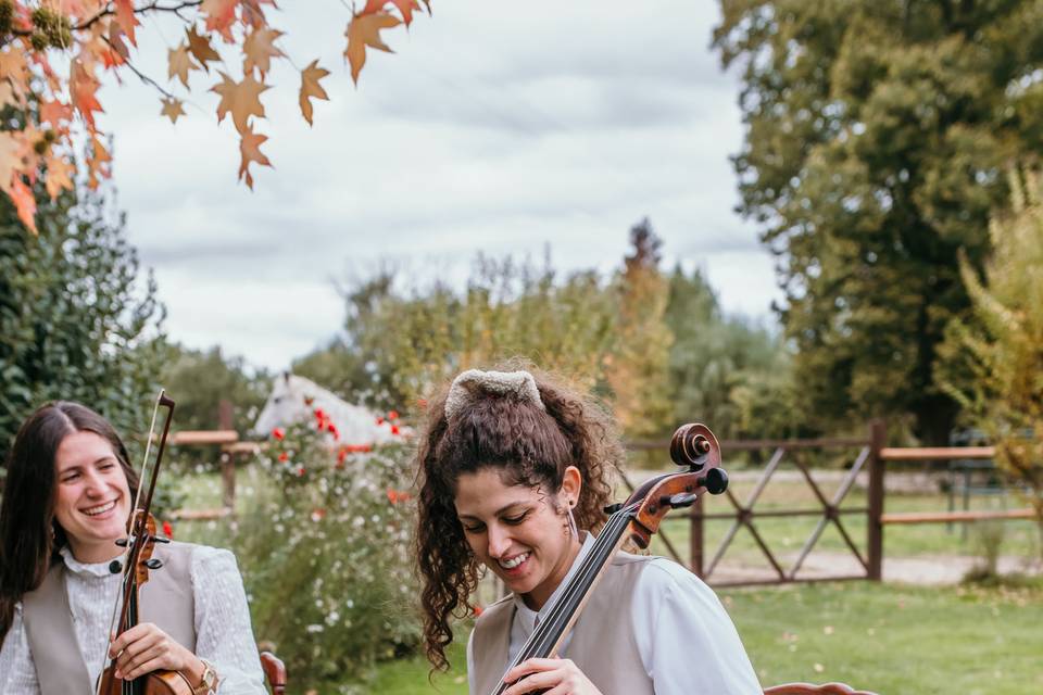 Violín y cello