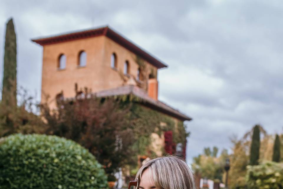 Violín