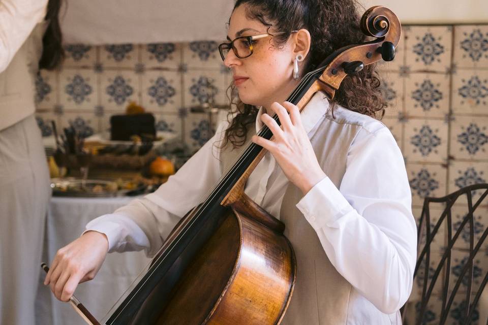Brenda Cellista