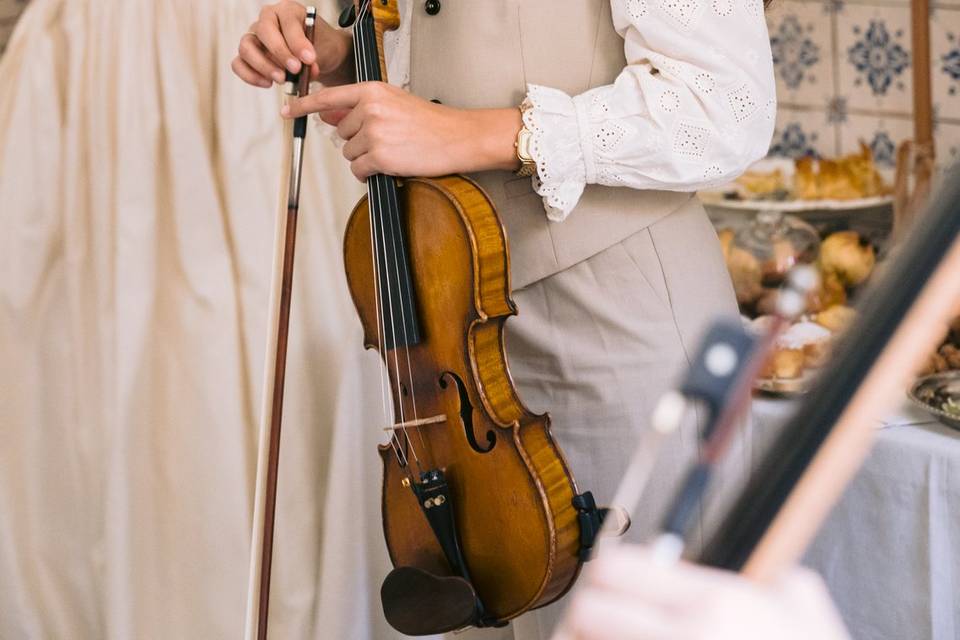Violín