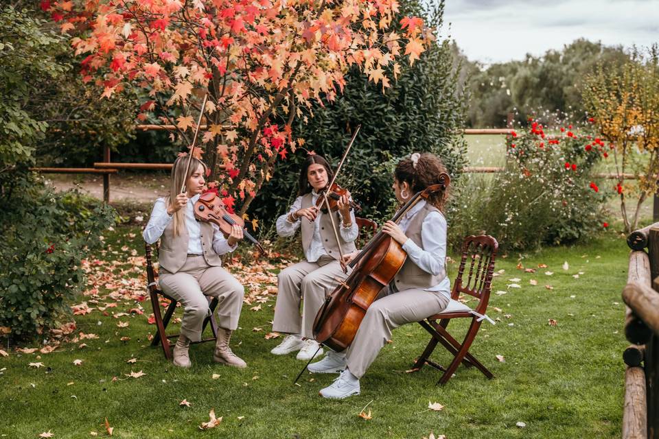Colcuore Ensemble