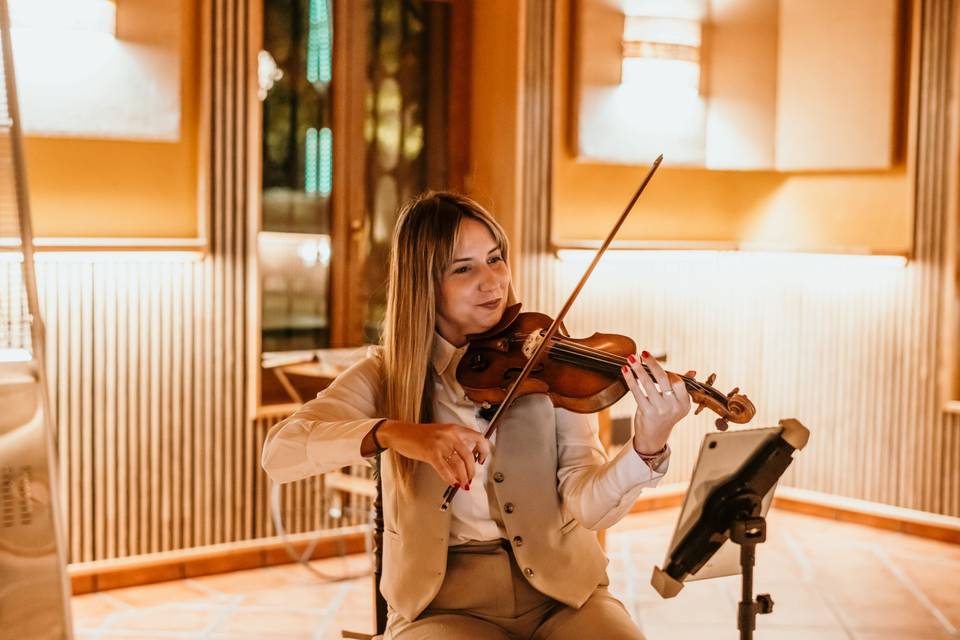 Violín - Frabrica de Harinas