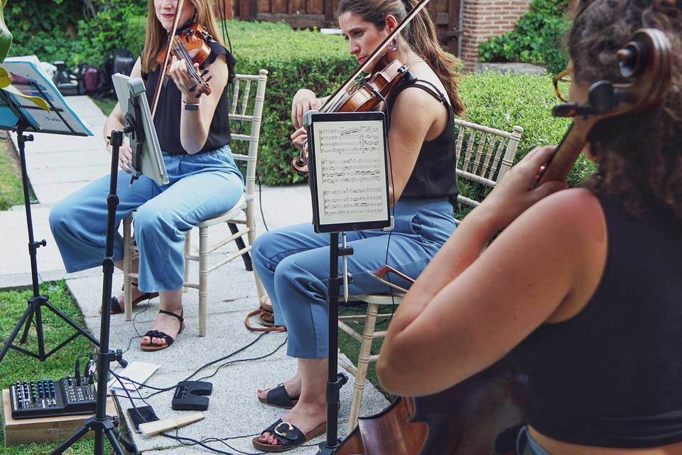 Trío: 2 violines + cello