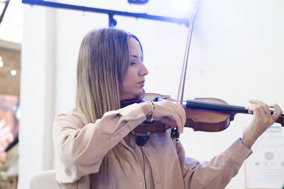 Violinista Rosa