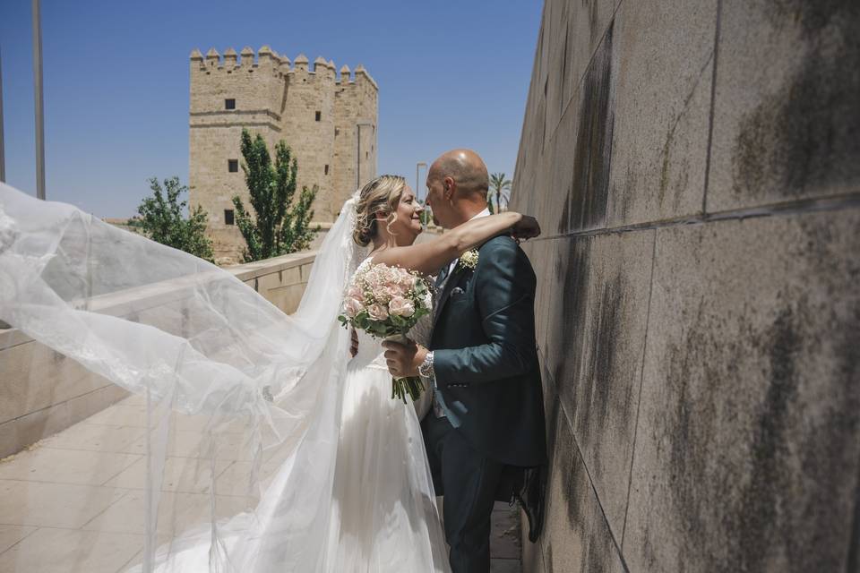 Novios