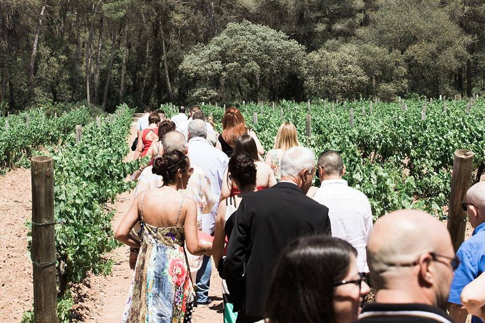 Entrada ceremonia