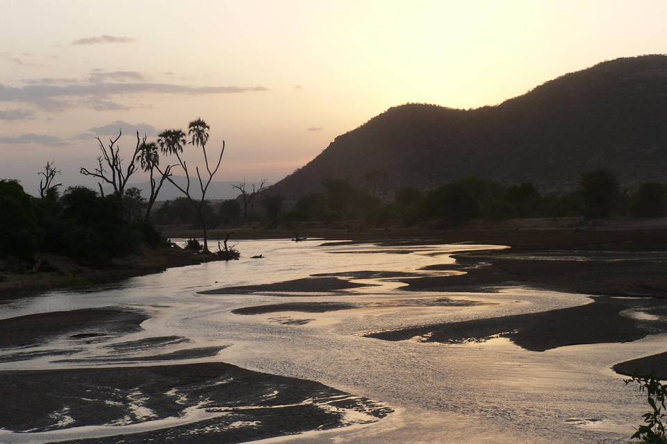 Palm & Acacia safaris