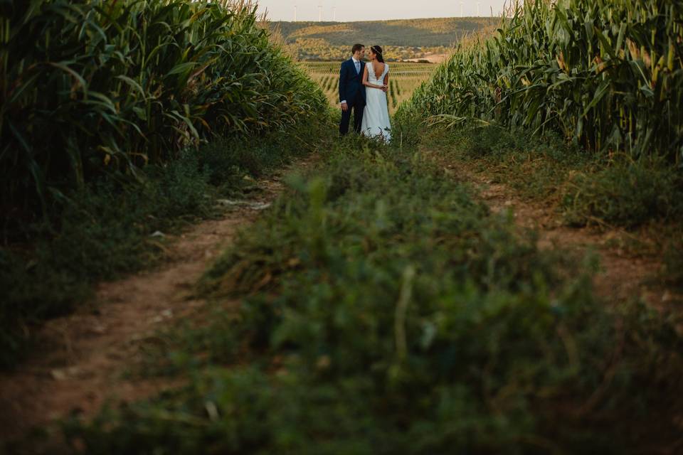 Sesión postboda