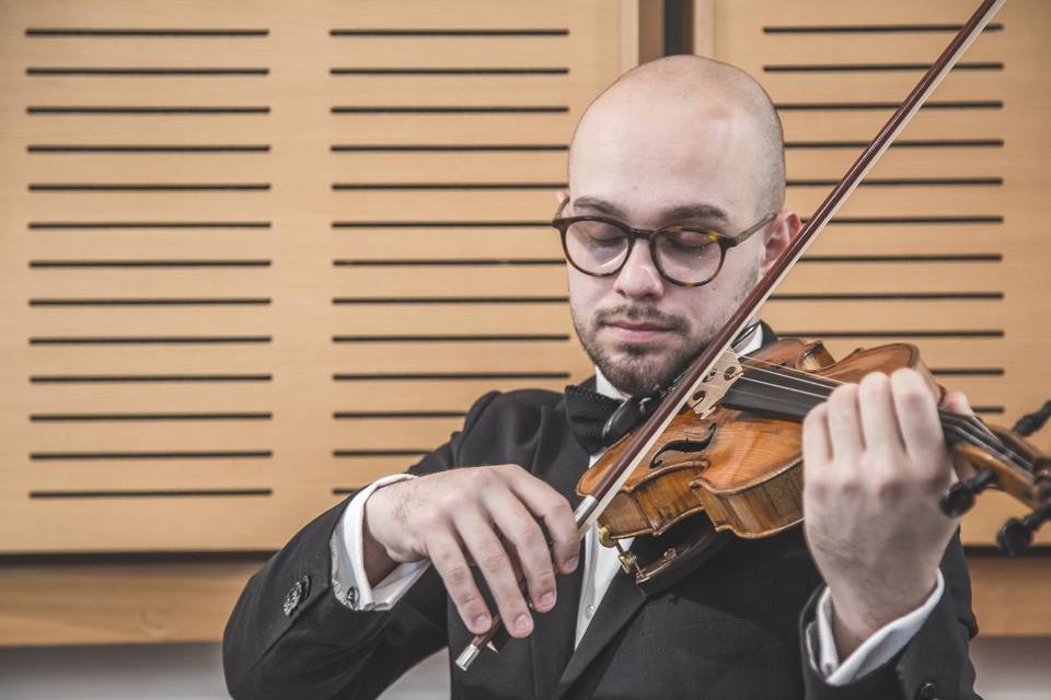 Violinista