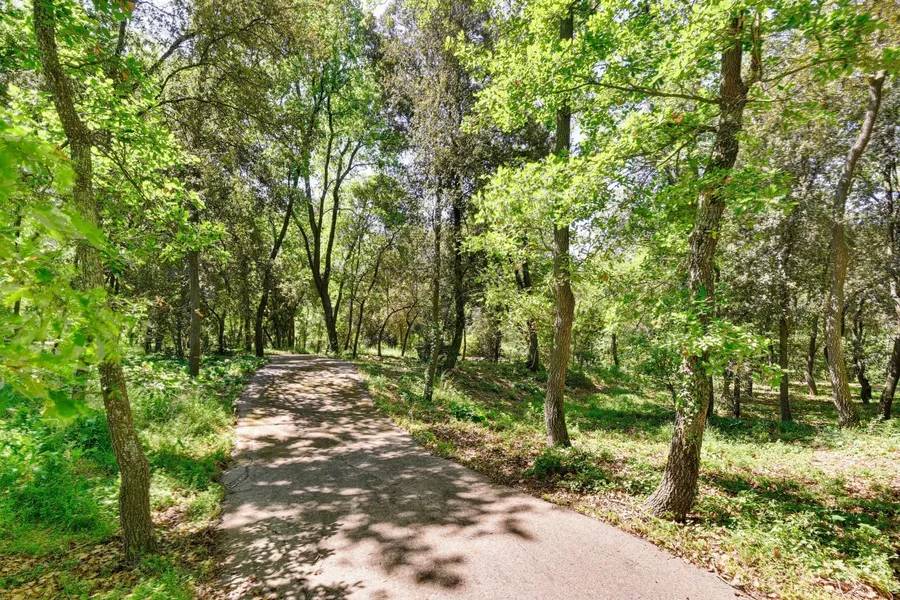 Bosque privado