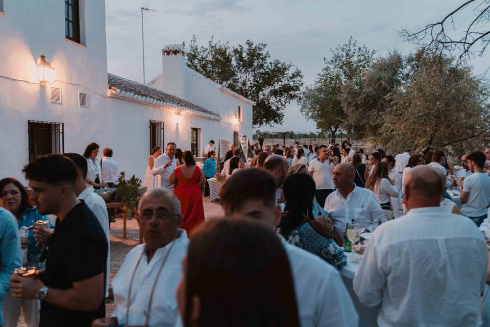 Zona de jardines