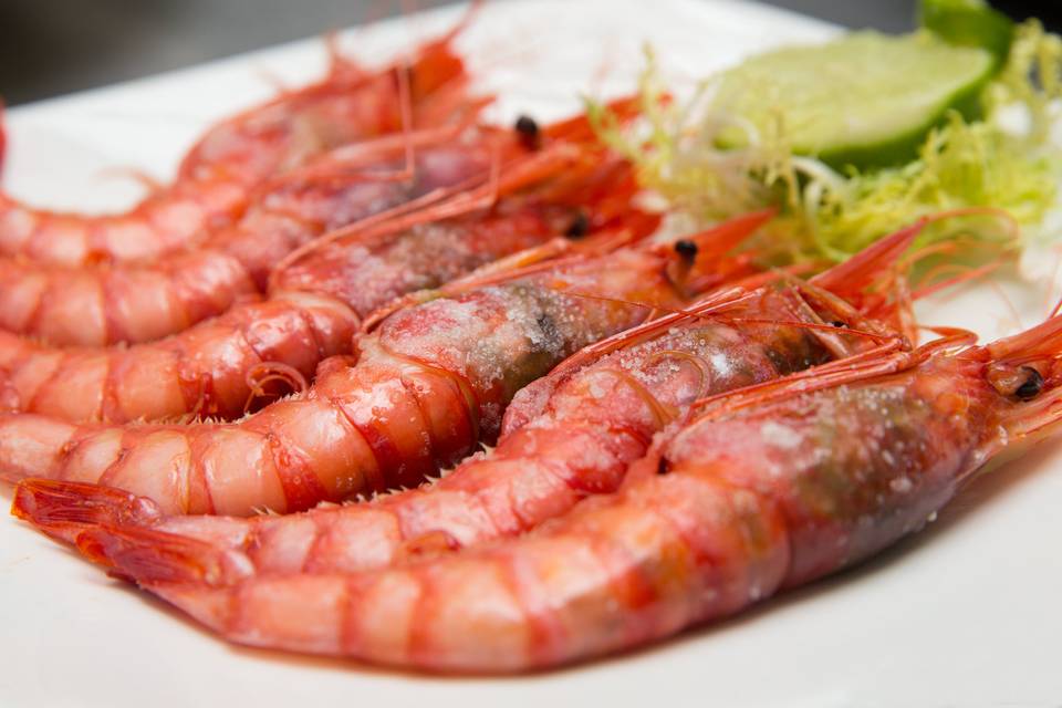 Gamba roja