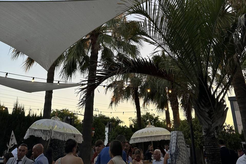Zaona aperitivo