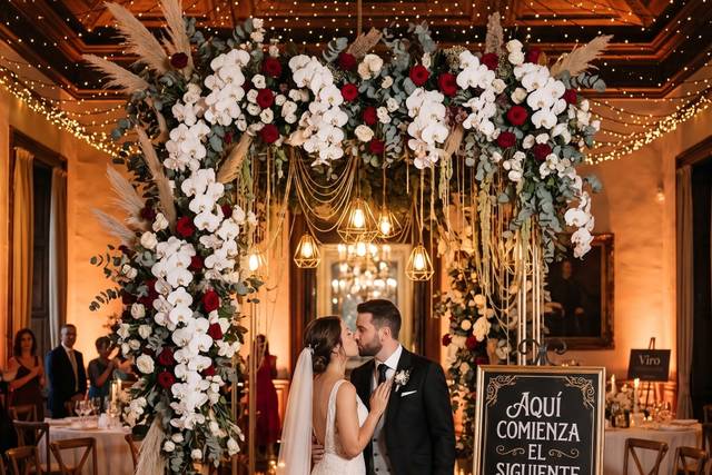 Viro: organización y diseño