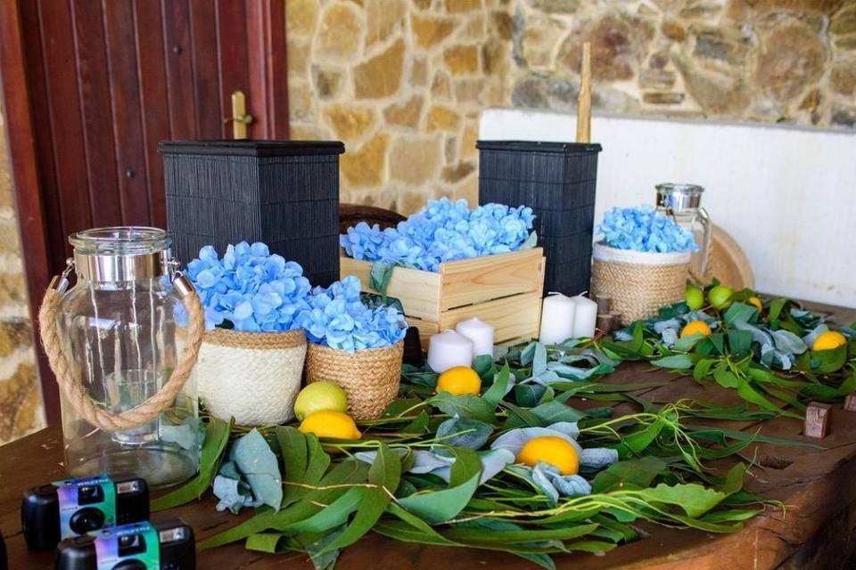 Decoracion