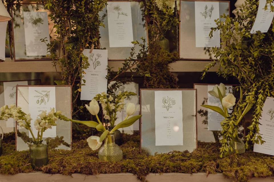 Plan de mesa