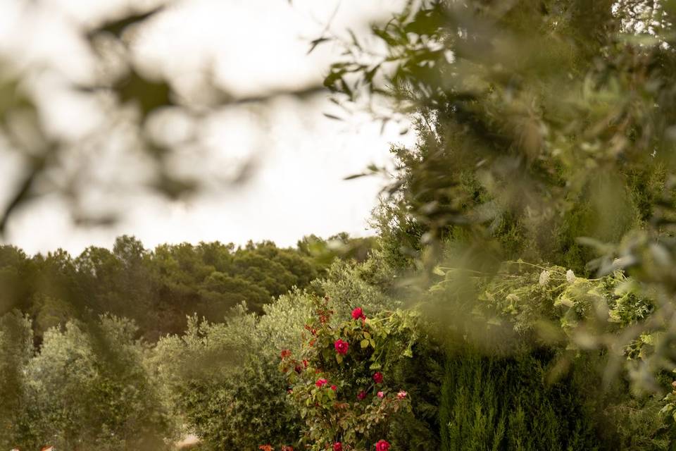 Ceremonia