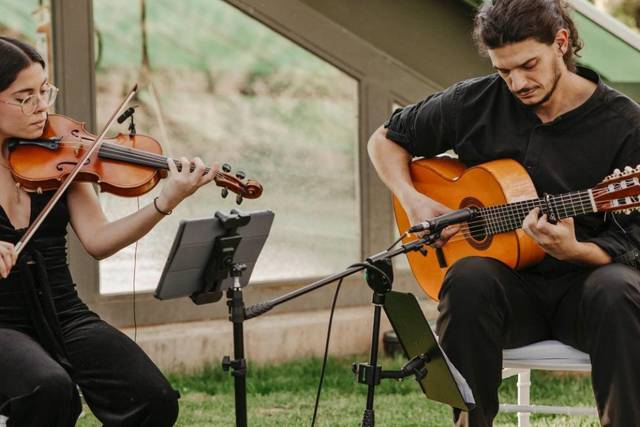 Violín guitarra