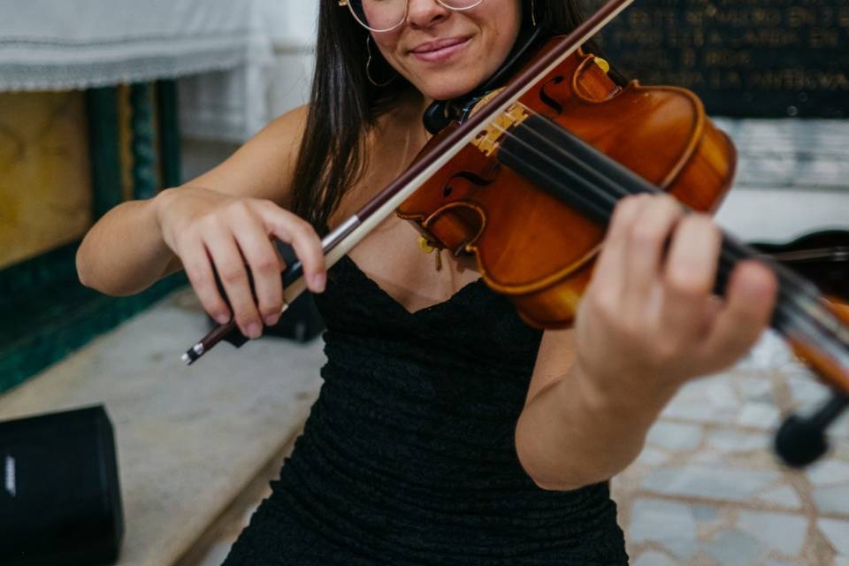 Violín
