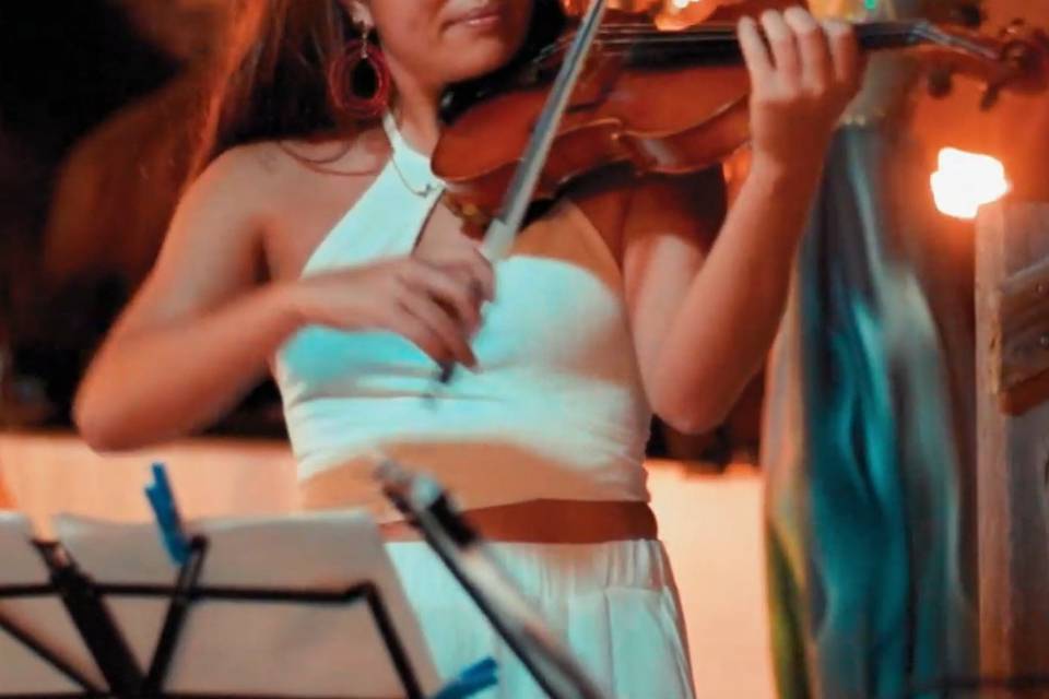 Violín