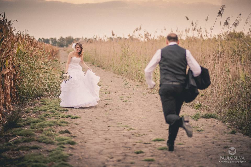 Boda en Sevilla, campos