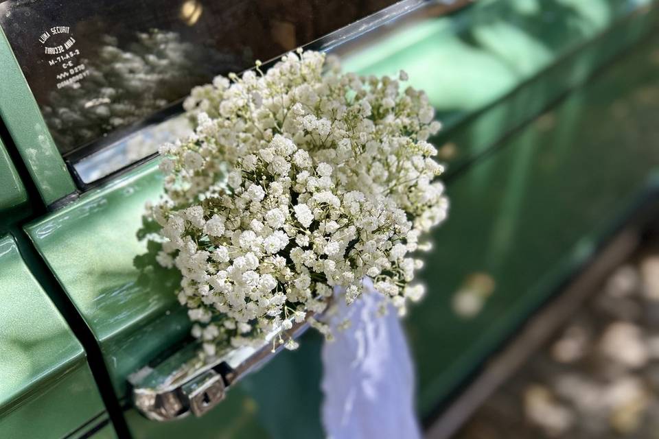 Decoración coche
