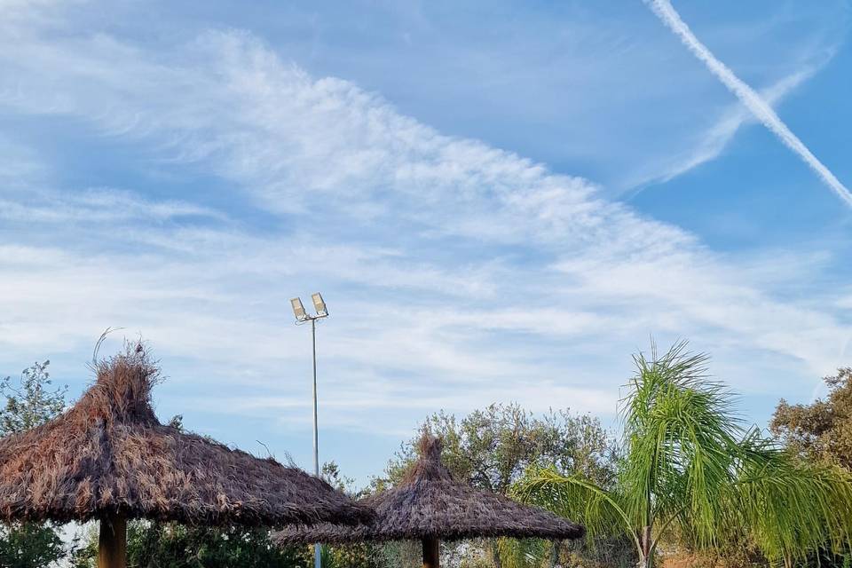 Finca Los Olivos