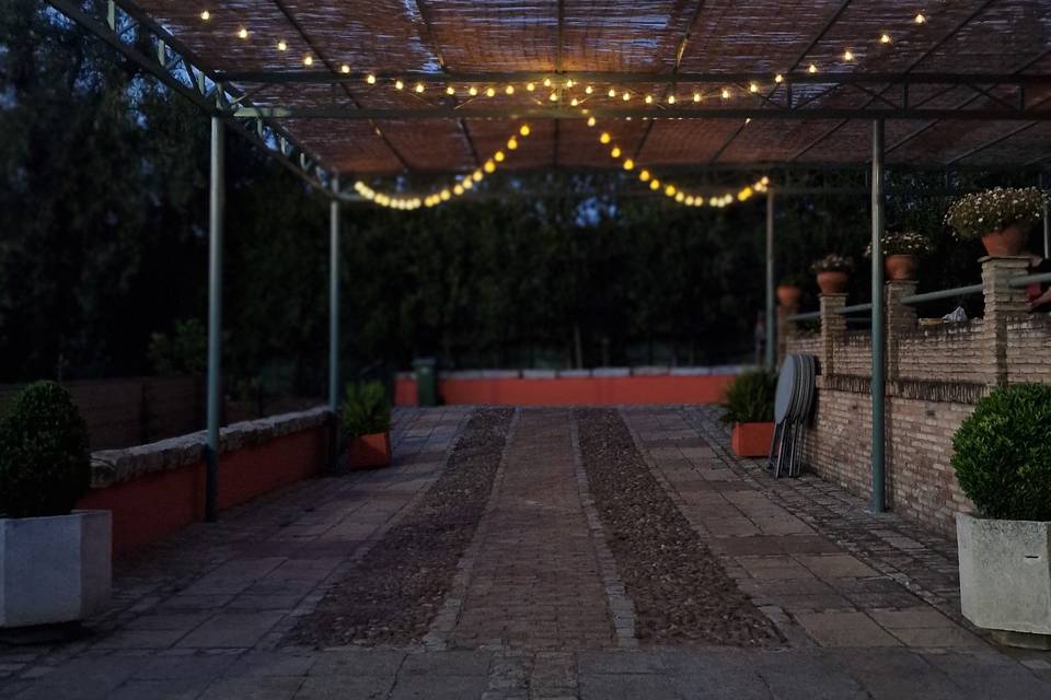 Finca Los Olivos