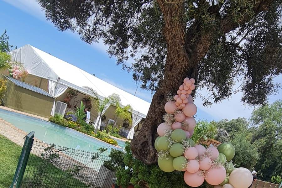 Finca Los Olivos