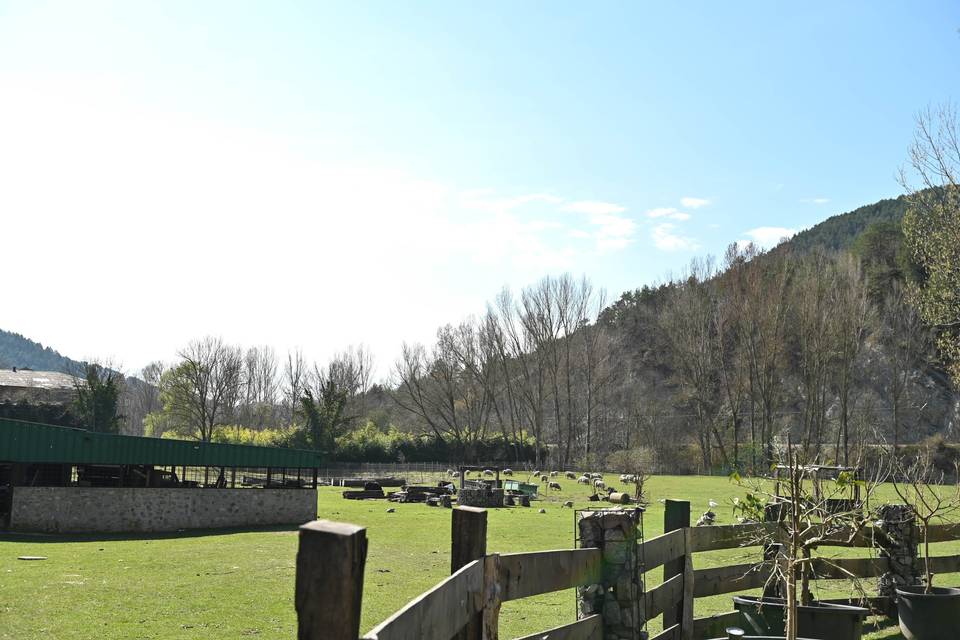 Jardín