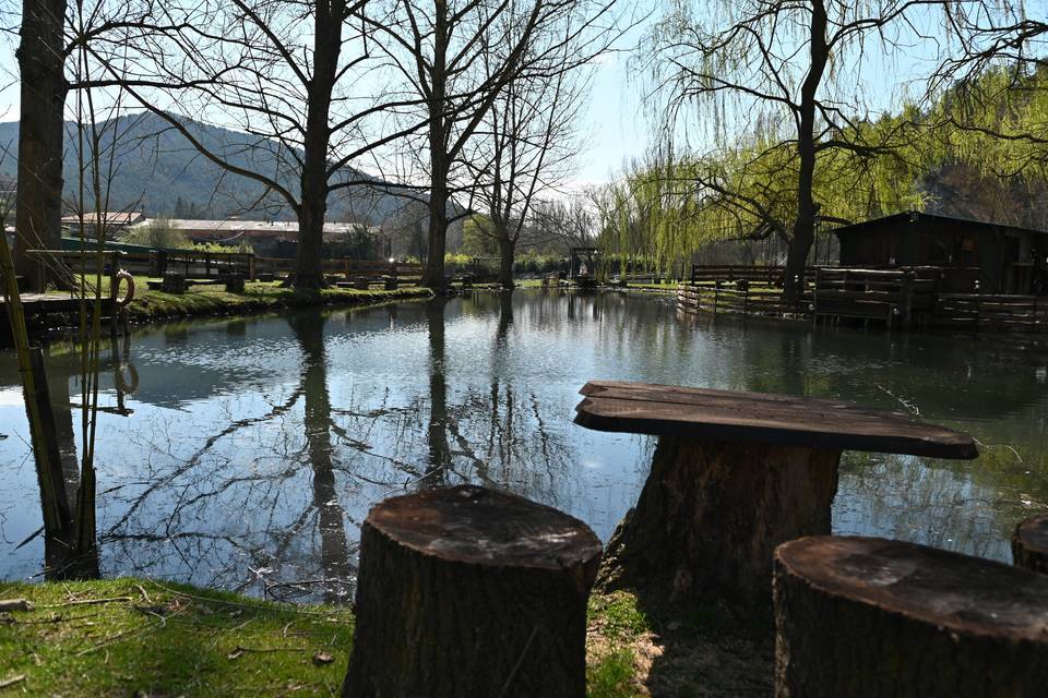 Jardín