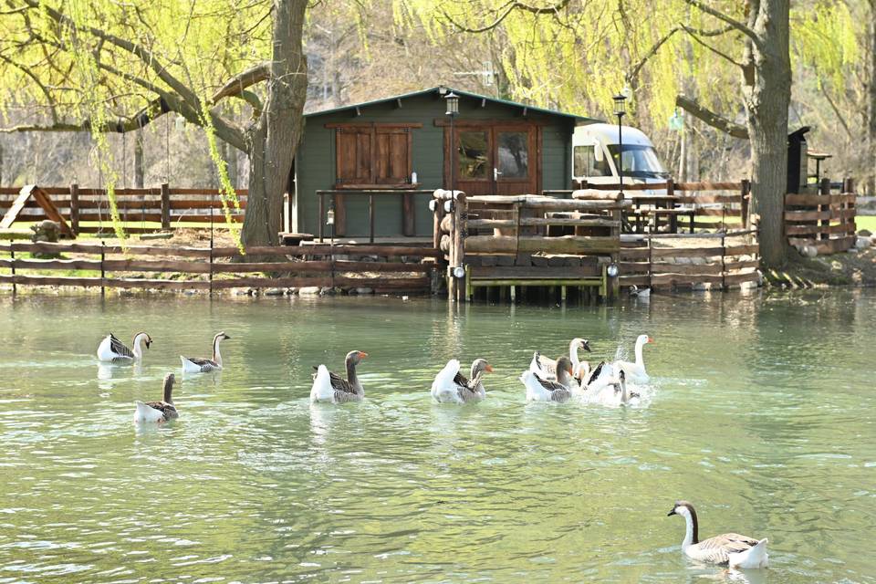Lago