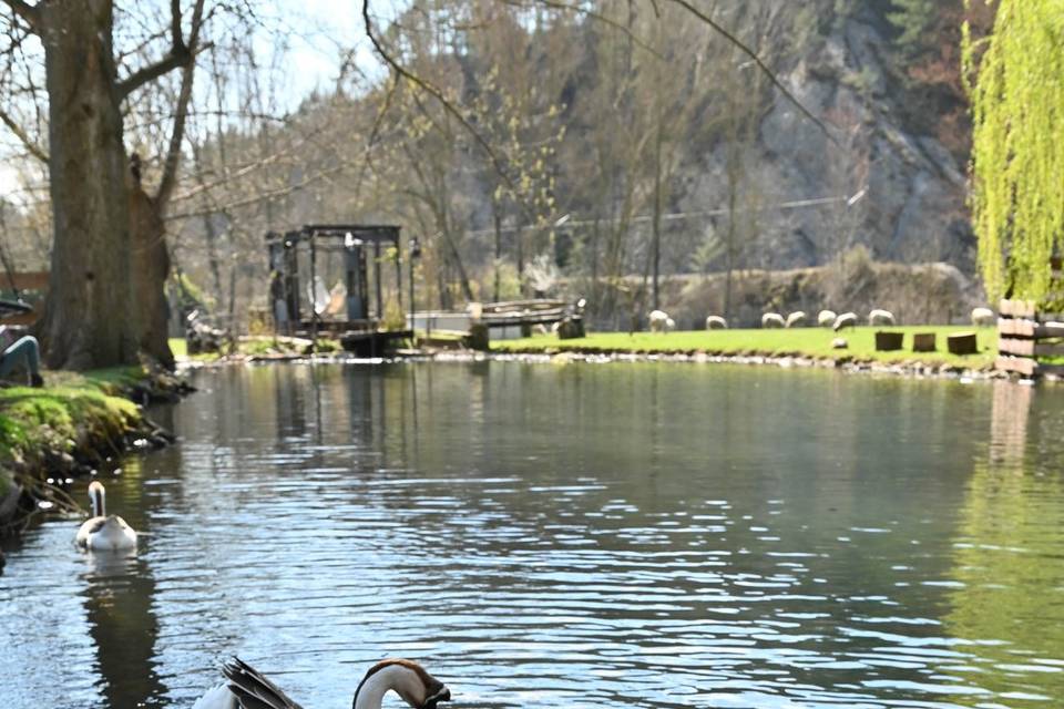 Lago