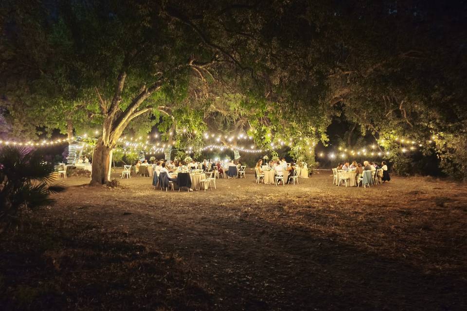 Iluminación
