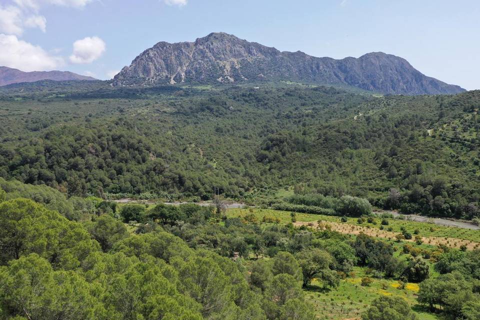 Vistas panorámicas