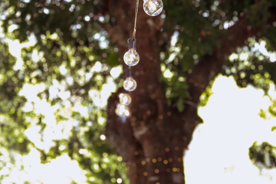 Guirnalda de luces