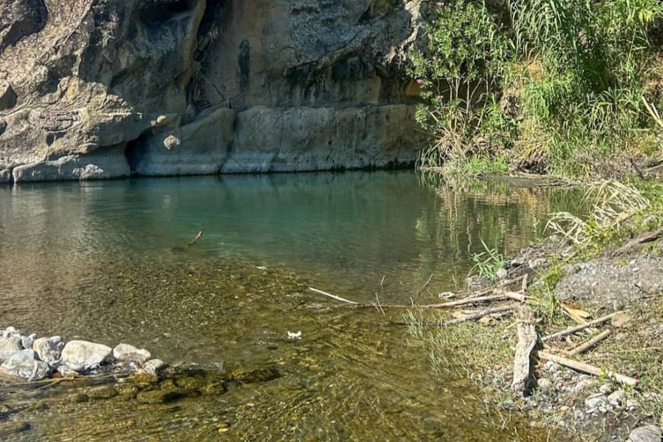 Poza natural en Finca Andalicia