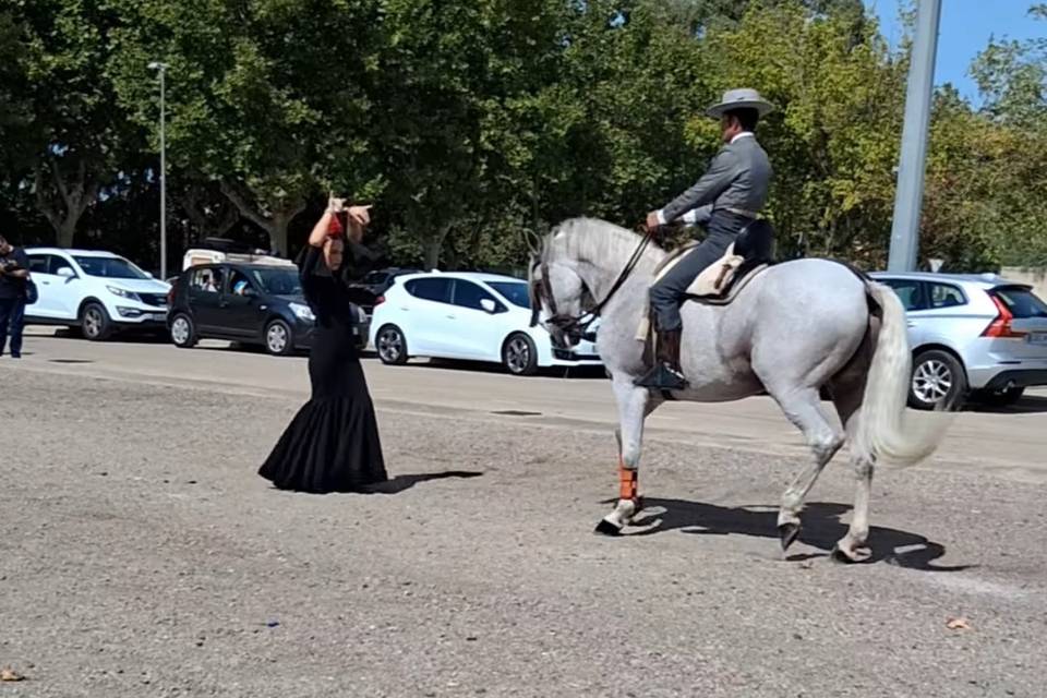 Arte a Caballo