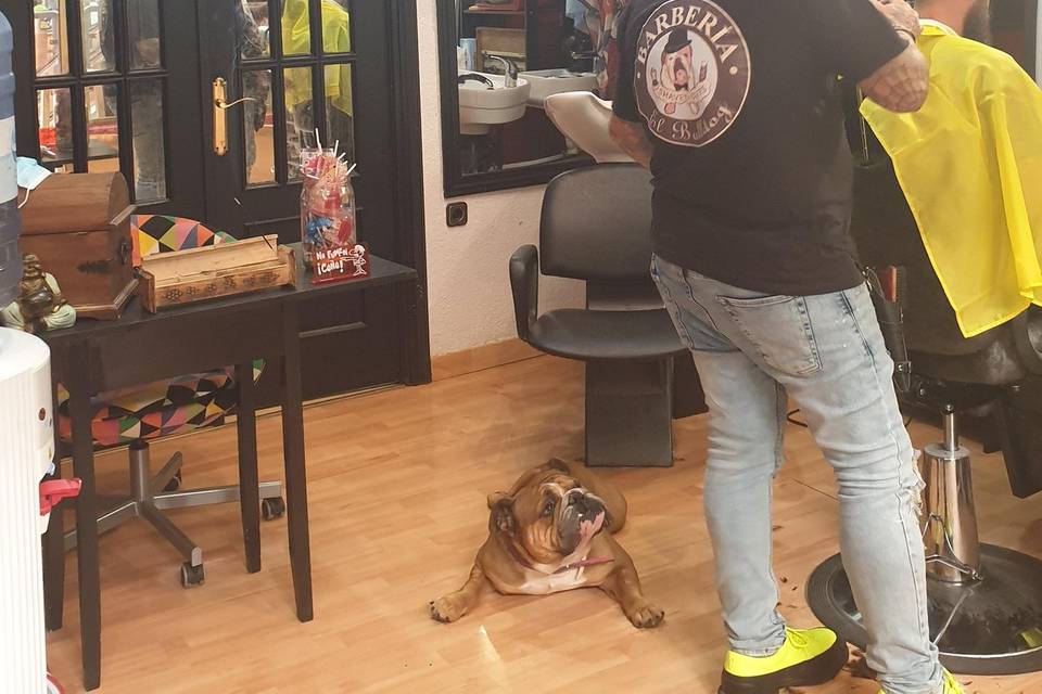Barbería El Bulldog