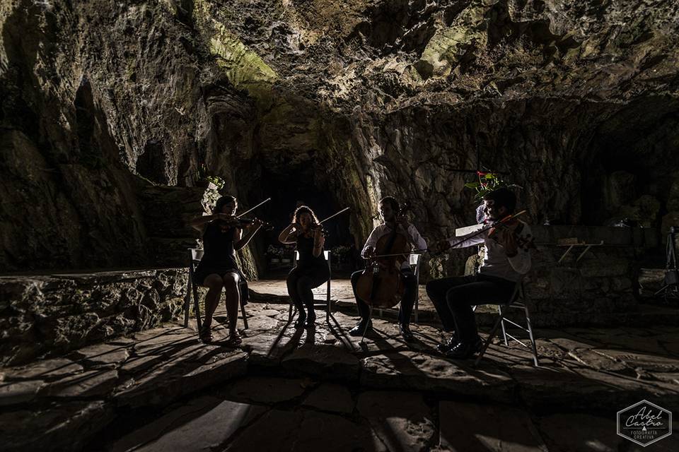 Cuarteto de Cuerda