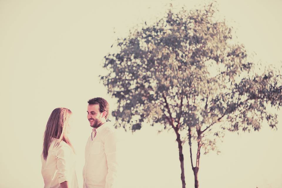 Arbol