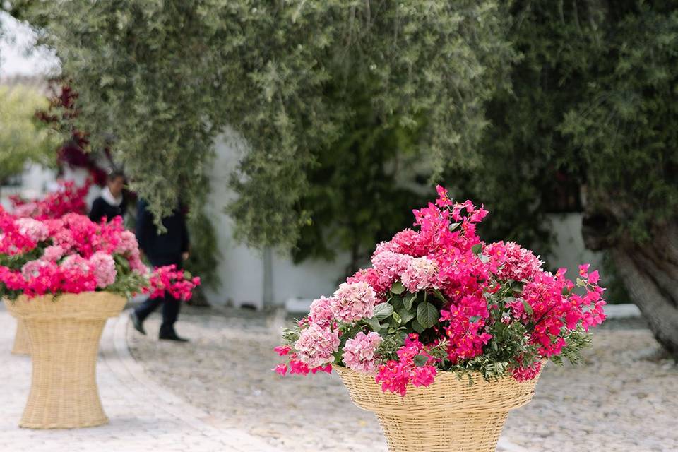 Adornando la entrada