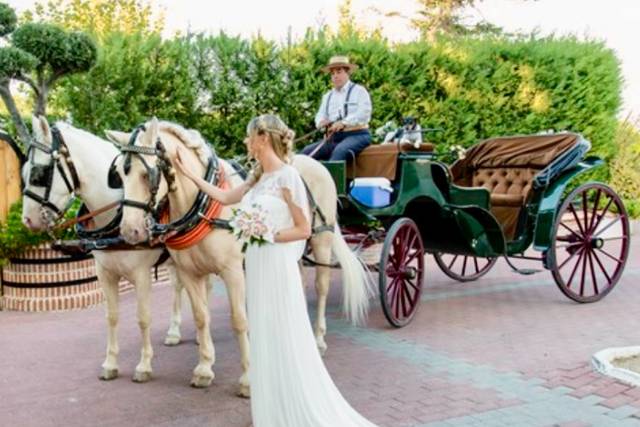 La carroza y la princesa