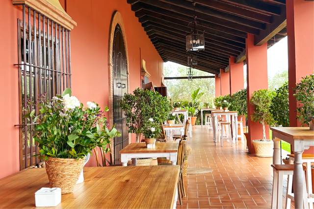Zona del Aperitivo
